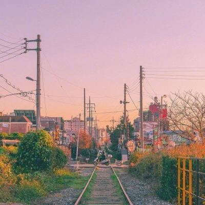 乐鱼体育app官方网站下载截图